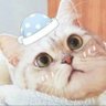 Фото профиля P🐶E🐱N🖤J💙Y (ใครไม่ตัสแคคตัส)