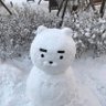 dlejnebsjje's profile picture