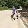 Sergio Meazza profil fotoğrafı