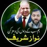 Profilbild von Ali Abbasi PML N