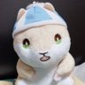 Profilbild von 二代目オレンジなっちゃん⚔️