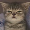 jsr's profile picture