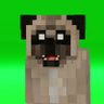 Фото профиля 🐶 Eric Pug🐶