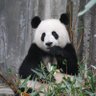2025Maxi τ's profile picture