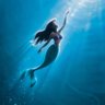 Profilbild von Mermaid 🧜♀️