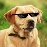 Profilbild von Funky Dog