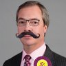 Profilbild von Niggel Farageski 🇪🇺🏳️‍🌈🇺🇦 #FBPE #GTTO