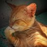 Profilbild von Brian L