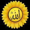Profilbild von زيد....، Abr