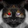 ~~~Kocheng48~~~ profil fotoğrafı