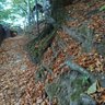 Фото профиля Rüzgâr