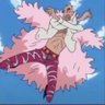 zoro toro profil fotoğrafı