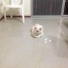 MirnaF 的头像