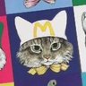 besty😎Ⓜ️sippo🐧🐈's profile picture