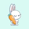 baitu 🐰 的头像