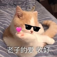 wangxian521's profile picture