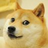 RxzerKBM's profile picture