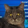 Madeline profil fotoğrafı