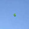 Nicol Pacheco P𓂉🦦🌵🌮's profile picture