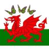 🏴🦋Welshbutterfly4🦋🏴's profile picture