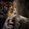 MoneyLaunderer57's profile picture