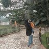 Hermawan munandar profil fotoğrafı