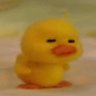 little duckling | 🇵🇸 FREE PALESTINE's profile picture