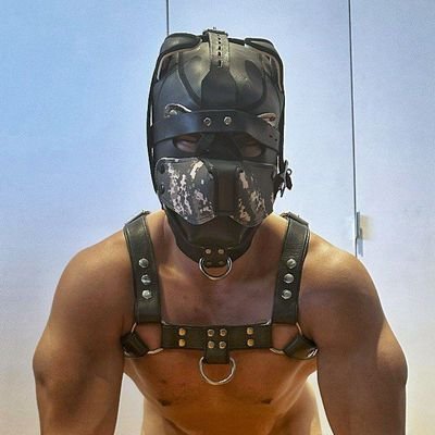 Caged_bull_sg's profile picture