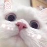 万千与's profile picture