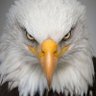 Werkudoro #EagleEyes's profile picture