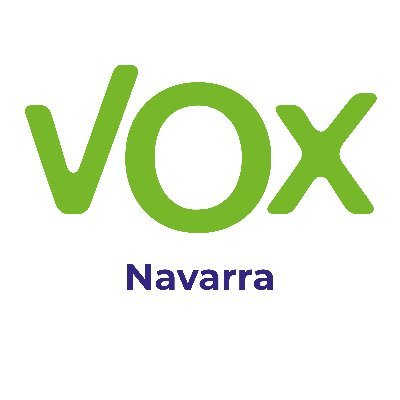 VOX Navarra's profile picture