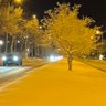 Фото профиля Göçebe