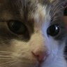 Profilbild von SANDI