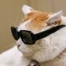 Watty2702's profile picture