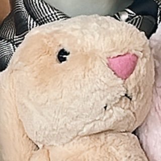 Yasi's profile picture