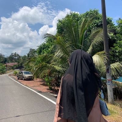 Damia57780269's profile picture