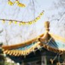 Profilbild von 山雨欲来风满楼