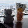 とうきん 的头像