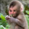 Pessinge profil fotoğrafı