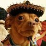 Don Francisco's profile picture