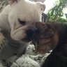 Riley 💜💜💜🧡 profil fotoğrafı