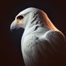 Wudan Falcon's profile picture