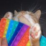 Ogo_maesh_garniy_xui's profile picture