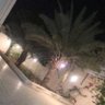 Фото профиля bandar_alghanem