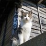 あっきー 的头像