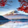 踢习主席屁股 profil fotoğrafı