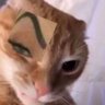 Фото профиля UwU