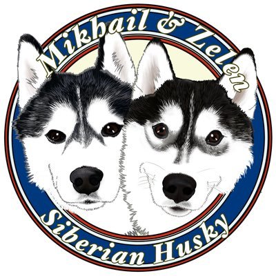 ミハイル×ゼレン@シベリアンハスキー's profile picture