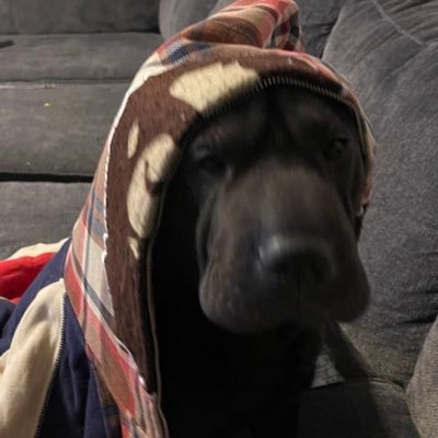 (Him)othy Mcgeeker's profile picture