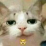 Profilbild von Luqkyms🇵🇪